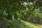 3539 Alana Drive - Photo 72