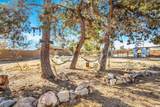 4796 Camarilla Avenue - Photo 24