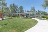 39312 Beringer Drive - Photo 61
