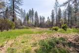 0 Toll Gate Way - Photo 8