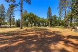 0 Libby Road - Photo 6