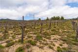 29972 Chihuahua Valley Road - Photo 30
