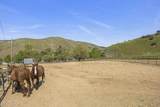 2837 Clear Canyon Road - Photo 47