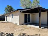 40294 Fieldspring Street - Photo 24