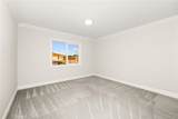 3425 Fionna Place - Photo 22