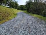 1119 Montauk Vista - Photo 17