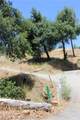 10255 Carrousel Drive - Photo 11
