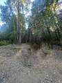 24858 Clover Road - Photo 1