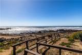 339 Harvey Street - Photo 40