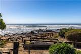 339 Harvey Street - Photo 41
