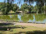 1591 Ellis Street - Photo 39
