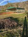 3109 Wild Dove Lane - Photo 7