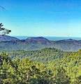 12338 First Fork Road - Photo 3