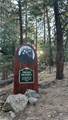 15331005 Mountain Meadow Road - Photo 2