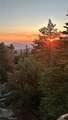 15331005 Mountain Meadow Road - Photo 3