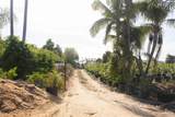 3129 Reche Road - Photo 31