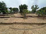 1161 Via Arroyo - Photo 34