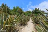 1161 Via Arroyo - Photo 41