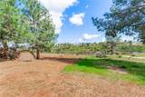 5803 Acorn Ridge Drive - Photo 11