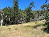 20925 Mid Mountain (17N17 Usfs) Road - Photo 1