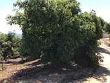 1 Monte Rancho - Photo 51