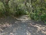 0 Main Boulevard - Photo 5