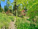 35 Sierra Buttes Road - Photo 26