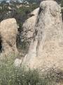 33 Sweetbush - Photo 1
