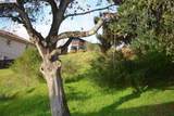 4320 Terrabella Way - Photo 8