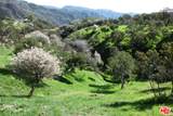 524 Moonrise - Photo 3