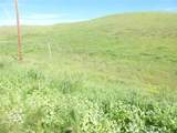 0 Douglas Rd. (Lot 41) - Photo 15