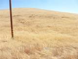 0 Douglas Rd. (Lot 41) - Photo 17