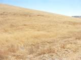 0 Douglas Rd. (Lot 41) - Photo 18