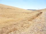 0 Douglas Rd. (Lot 41) - Photo 19