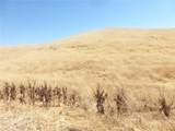 0 Douglas Rd. (Lot 41) - Photo 22