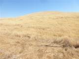0 Douglas Rd. (Lot 41) - Photo 25