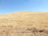 0 Douglas Rd. (Lot 41) - Photo 26
