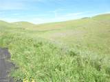 0 Douglas Rd. (Lot 43) - Photo 18