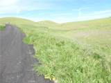 0 Douglas Rd. (Lot 43) - Photo 19