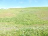 0 Douglas Rd. (Lot 43) - Photo 21