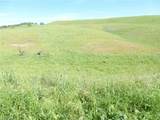 0 Douglas Rd. (Lot 43) - Photo 27