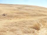 0 Douglas Rd. (Lot 43) - Photo 30