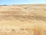 0 Douglas Rd. (Lot 43) - Photo 35