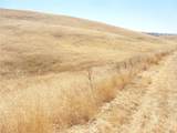 0 Douglas Rd. (Lot 43) - Photo 36