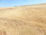 0 Douglas Rd. (Lot 43) - Photo 39