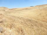 0 Douglas Rd. (Lot 43) - Photo 40