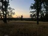 6915 Remunda Road - Photo 9