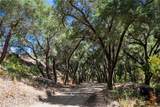 9031 Tassajara Creek Road - Photo 47