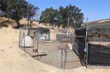 22605 Cascio Way - Photo 13