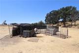 22605 Cascio Way - Photo 7